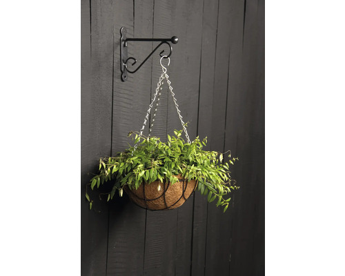 Hangmand met planten aan een muurbeugel