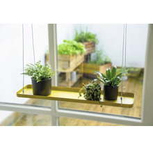 Hangende plantenplank met drie planten in potten