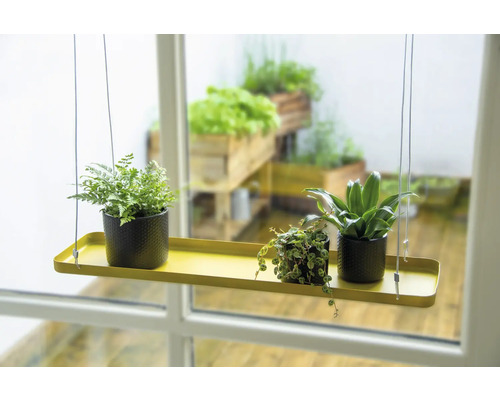 Hangende plantenplank met drie planten in potten