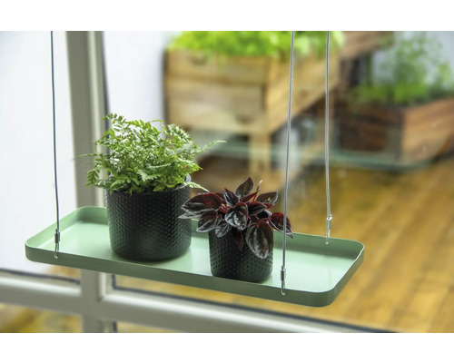 Hangrek met twee kamerplanten in potten