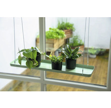 Hangend plantenrek met drie planten in potten voor een raam