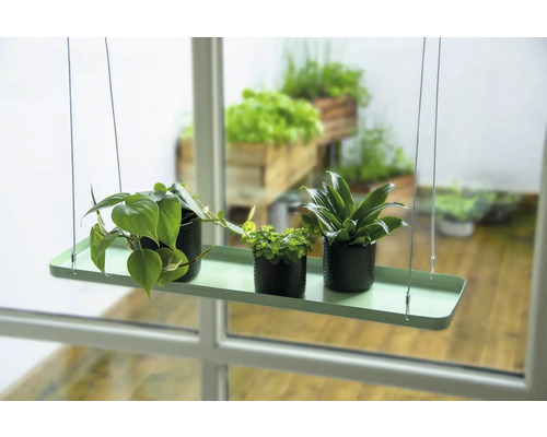 Hangend plantenrek met drie planten in potten voor een raam