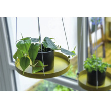 Hangplant in een pot met ophangsysteem