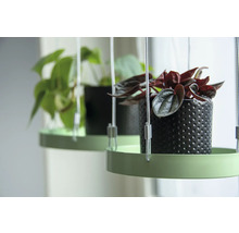 Hangplanten met decoratieve potten en planten