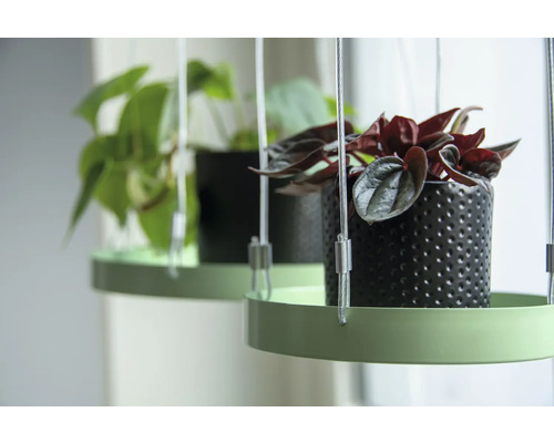 Hangplanten met decoratieve potten en planten