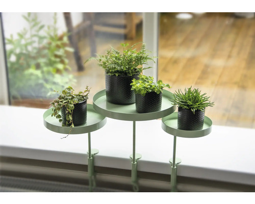 Vensterbank met drie plantenstandaards en potplanten