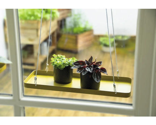 Hangrek met twee kamerplanten in potten voor een raam.