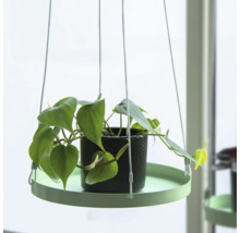 Hangplant met pot op een rond dienblad, opgehangen aan dunne touwen