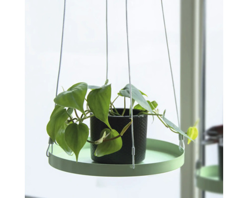 Hangplant met pot op een rond dienblad, opgehangen aan dunne touwen