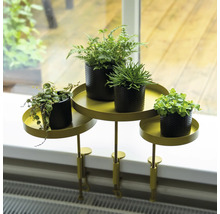Plantentafel met planten op vensterbank