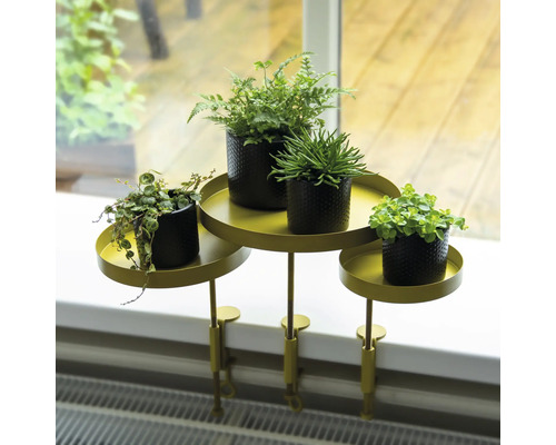 Plantentafel met planten op vensterbank