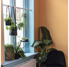 Kamer met raam, gedecoreerd met potplanten en hangplanten
