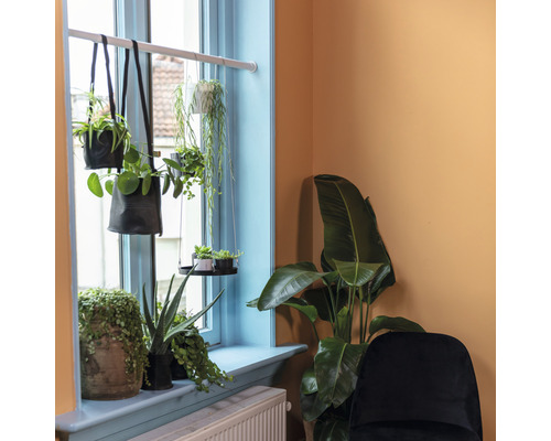 Kamer met raam, gedecoreerd met potplanten en hangplanten