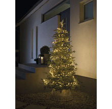 Decoratieve kerstboom met lichtslingers buitenshuis.