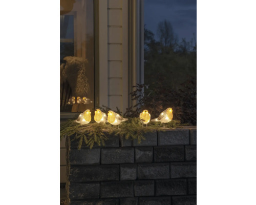 Decoratieve verlichte roodborstjesfiguren op een muur met dennentakken