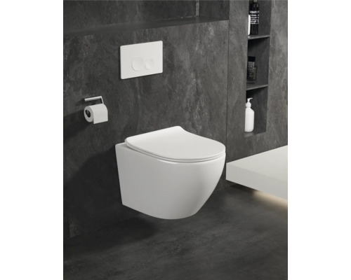 Wandhangend toilet met bedieningspaneel en toiletpapierhouder in een moderne badkamer.