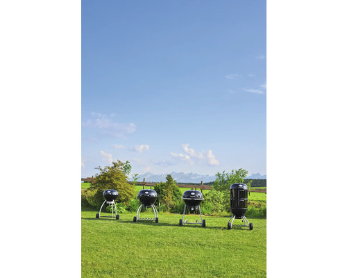 Diverse houtskoolbarbecues in de tuin