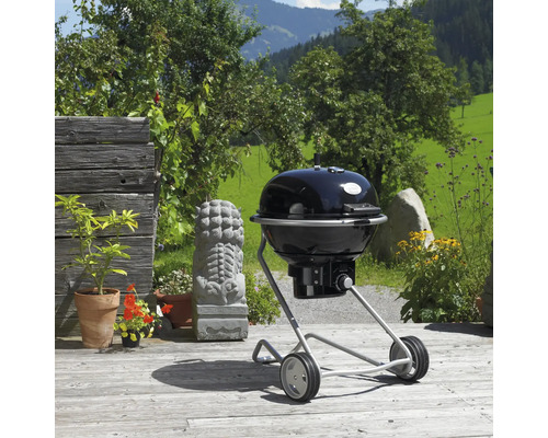 Bolvormige barbecue in tuin met houten terras en planten