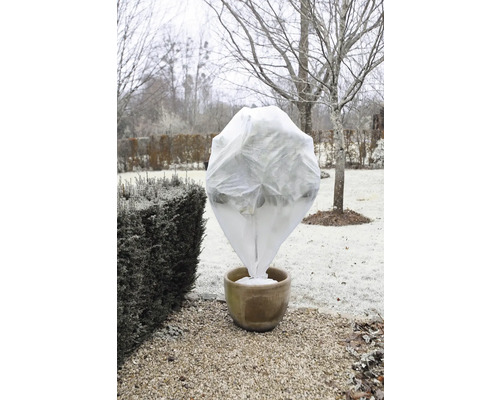 Plant in pot met winterbeschermingsdoek in de tuin.