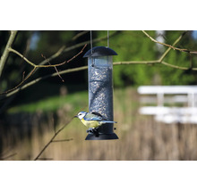 Pimpelmees op een hangende vogelvoeder met zaden