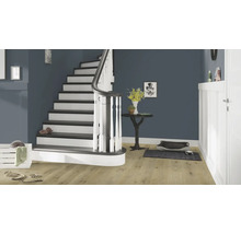 Entree met trap, tafel en hondenaccessoires
