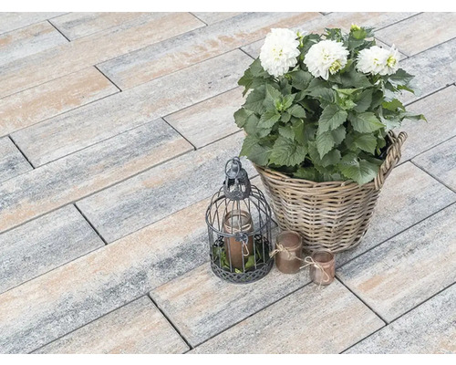 Bestrating met plantendecoratie in een tuin