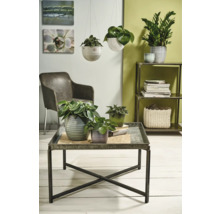 Woonkamer met planten in potten en hangende plantenbakken op een tafel en plank