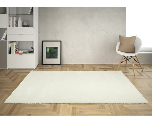 Lichte woonkamer met wit tapijt, plank, stoel en foto