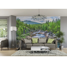 Woonkamer met foto van een rivier in een boslandschap op de muur.