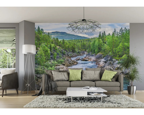 Woonkamer met foto van een rivier in een boslandschap op de muur.
