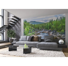Woonkamer met fotobehang van een rivier in een boslandschap