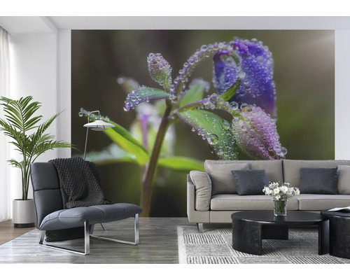 Woonkamer met fotobehang van een bloeiende plant met waterdruppels