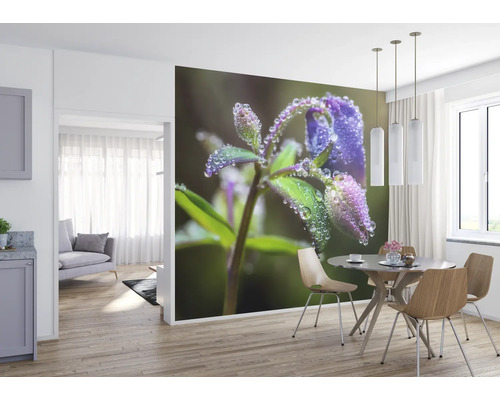 Muurdecoratie met close-up van een blauwe bloem met dauwdruppels in een eetkamer