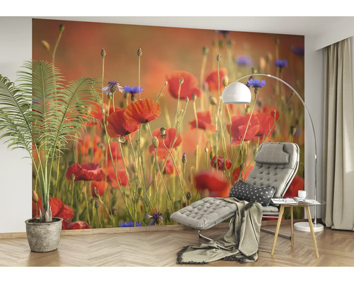 Woonkamer met fotobehang van klaprozen, fauteuil en vloerlamp