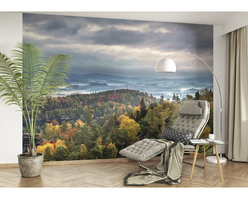 Woonkamer met foto van een herfstbos onder een bewolkte hemel op de muur