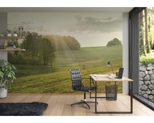 Kantoor met fotobehang van een groen landschap en zonnestralen
