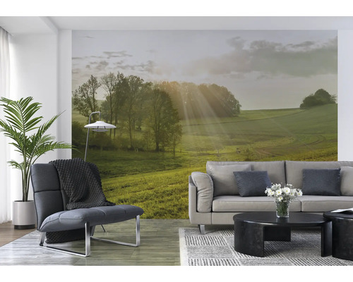 Woonkamer met vliesbehang met landschapsmotief, fauteuil, bank en salontafel