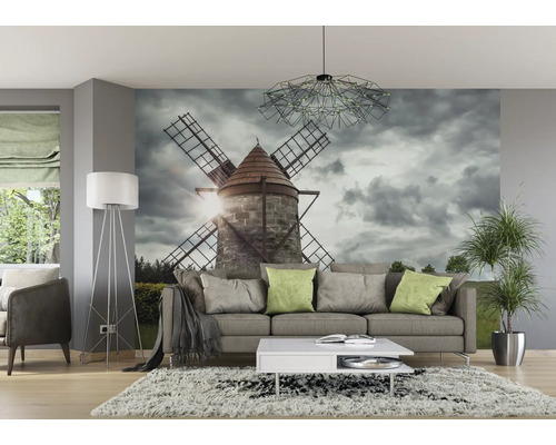 Woonkamer met fotobehang van een windmolen, bank en kamerplant