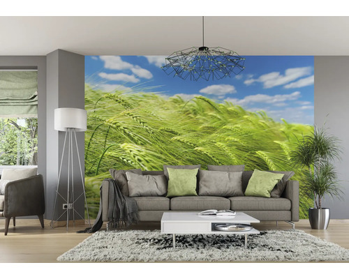 Woonkamer met fotobehang van een tarweveld onder een blauwe hemel