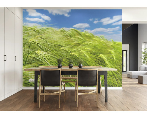 Woonkamer met eettafel, stoelen en fotobehang met een graanveld.