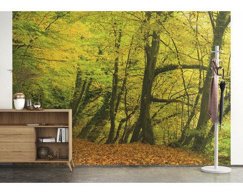 Wanddecoratie met bosmotief, meubels en kapstok in interieur