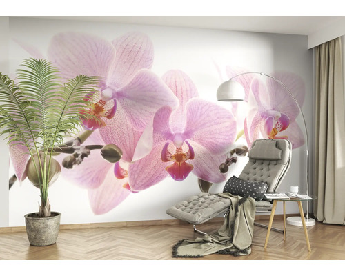 Woonkamer met orchideeën fotobehang, fauteuil, vloerlamp en potplant