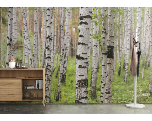 Scène met dressoir en berkenbosbehang