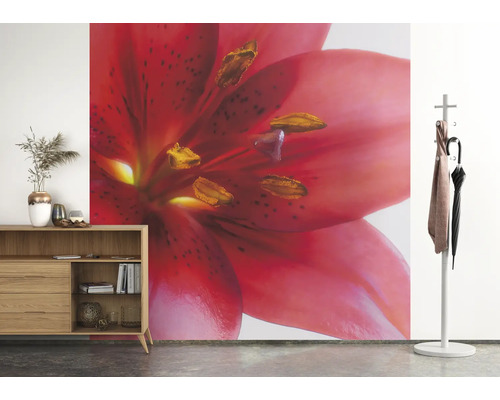 Woonkamer met dressoir, kapstok en een fotobehang met een lelie.