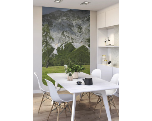 Lichte eetkamer met eettafel, stoelen en bergfotobehang