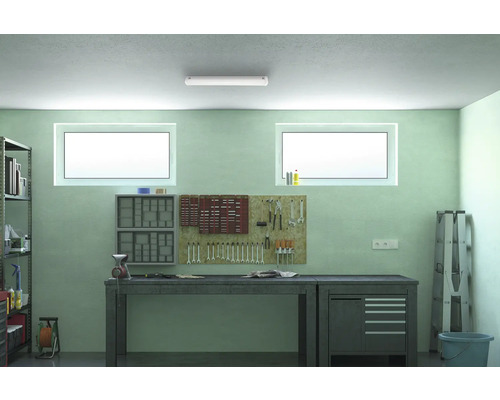 Werkplaats met werkbank, gereedschapswand, rekken en ramen