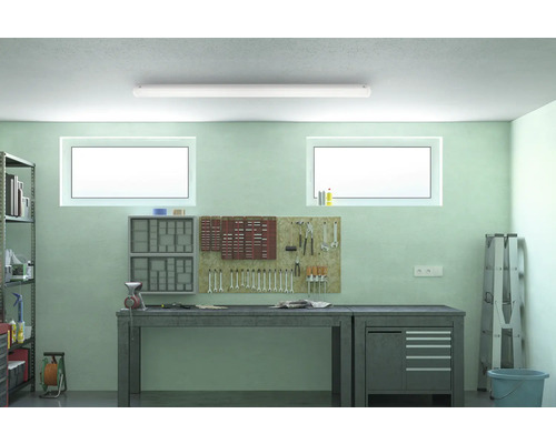 Werkplaats met werkbank, gereedschapswand en rekken onder een plafondlamp.