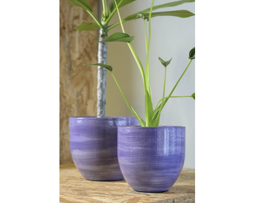 Twee paarse bloempotten met planten