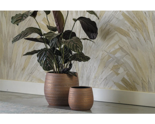 Twee terracotta plantenbakken met kamerplant