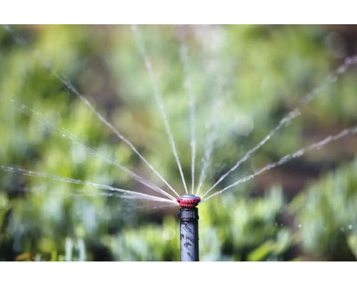 Gazonsproeier besproeit gazon